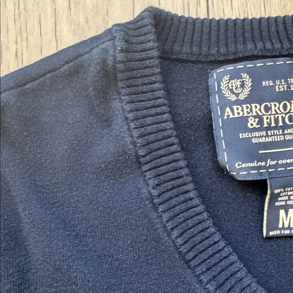 Abercrombie & Fitch Men's V-Neck Sweater Blue Medium 2000s Classic Moose Logo